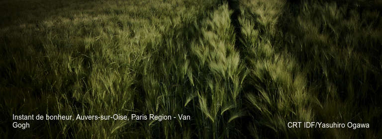 Instant de bonheur, Auvers-sur-Oise, Paris Region - Van Gogh