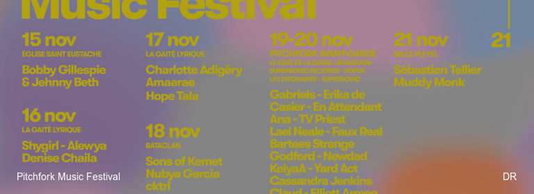 Pitchfork Music Festival