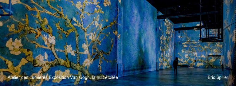 Atelier des Lumières Exposition Van Gogh, la nuit étoilée