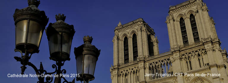 Cathédrale Notre-Dame de Paris 2015