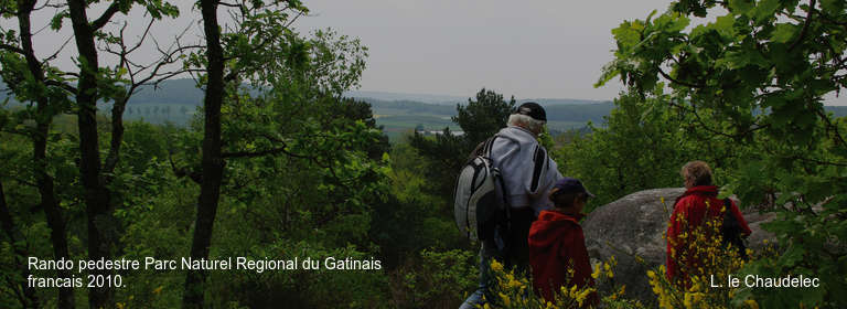 Rando pedestre Parc Naturel Regional du Gatinais francais 2010.