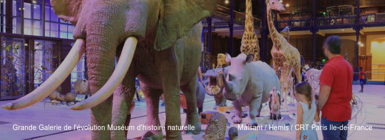 Grande Galerie de l'évolution Muséum d'histoire naturelle