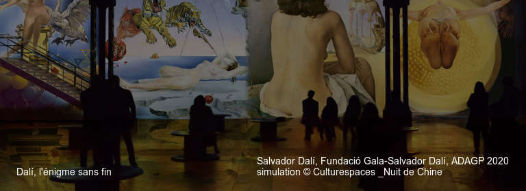 Dalí, l'énigme sans fin