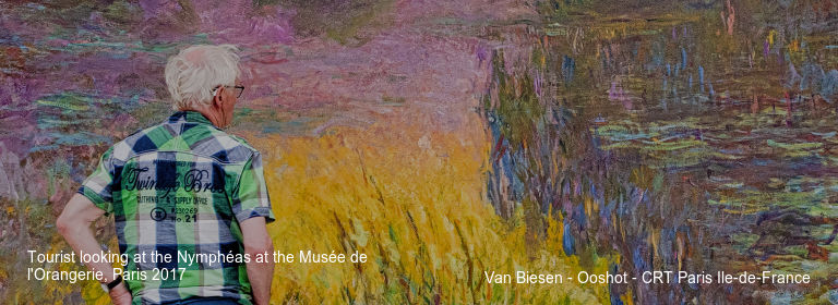 Tourist looking at the Nymphéas at the Musée de l'Orangerie%252C Paris 2017 Van Biesen - Ooshot - CRT Paris Ile-de-France