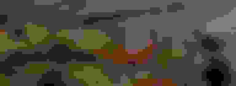 Marché Edgar Quinet | VisitParisRegion