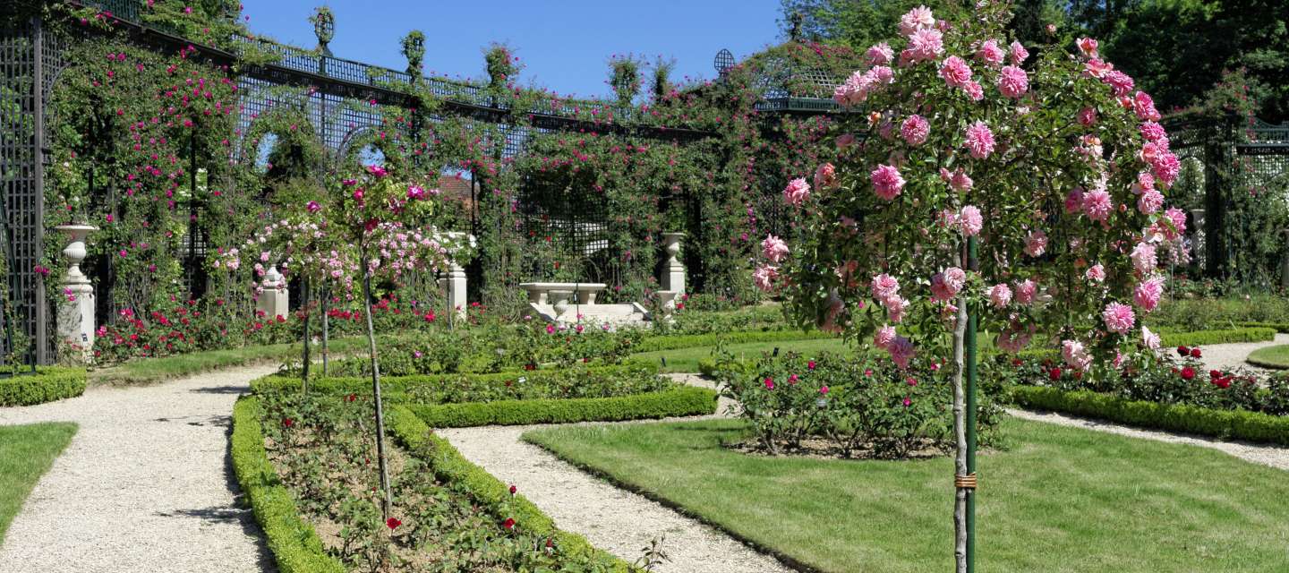Val-de-Marne Rose Garden