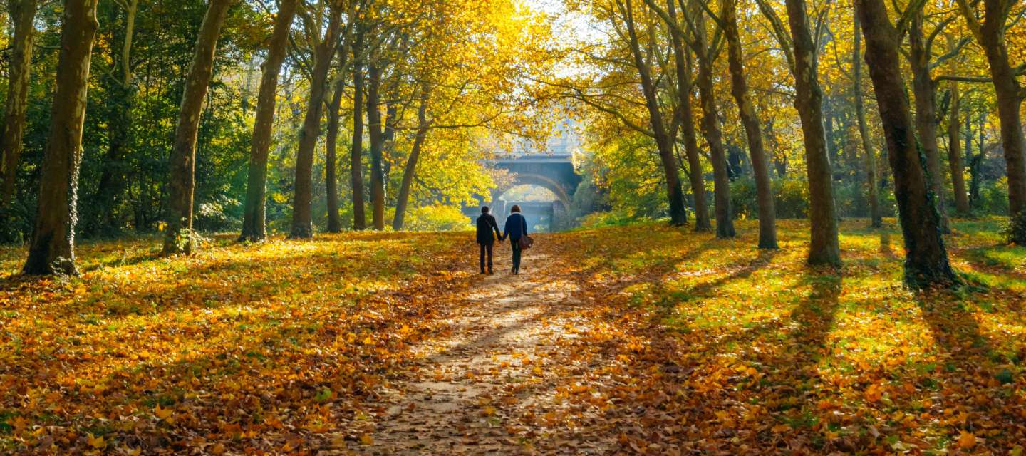 Couple Versailles