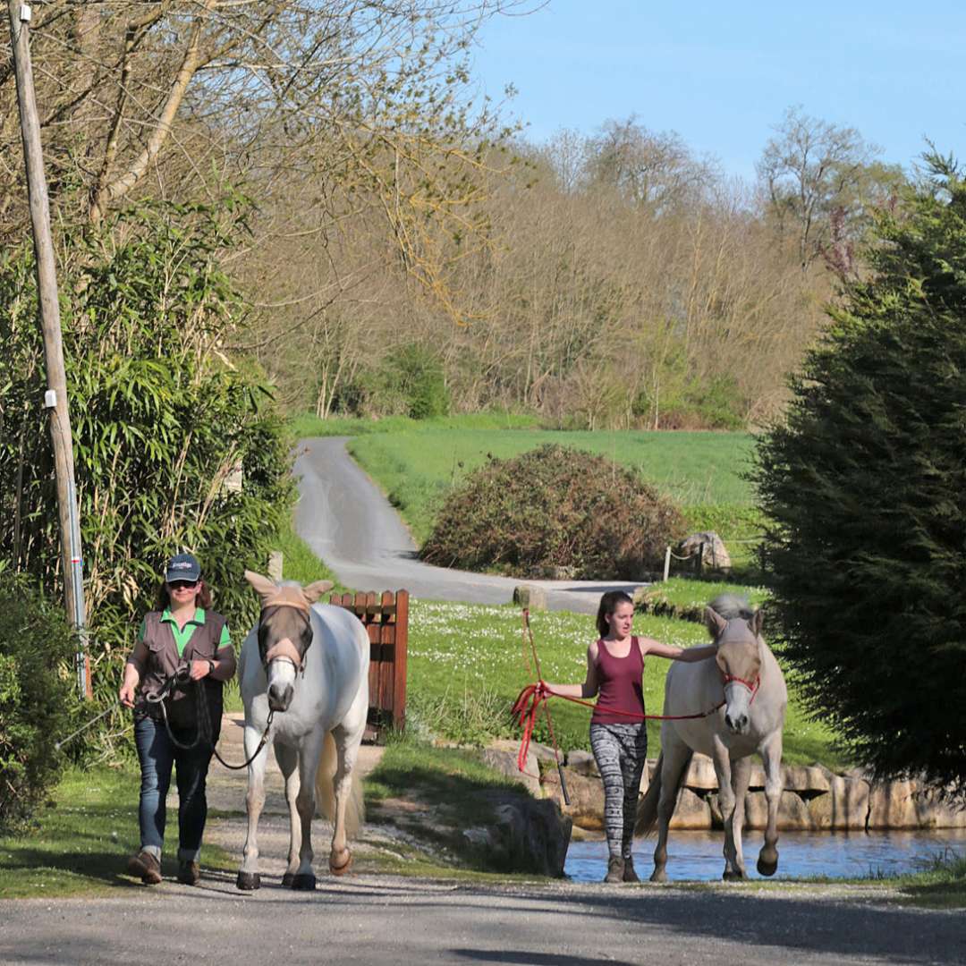 La Ferme de Moigny – Parc naturel régional du Gâtinais français