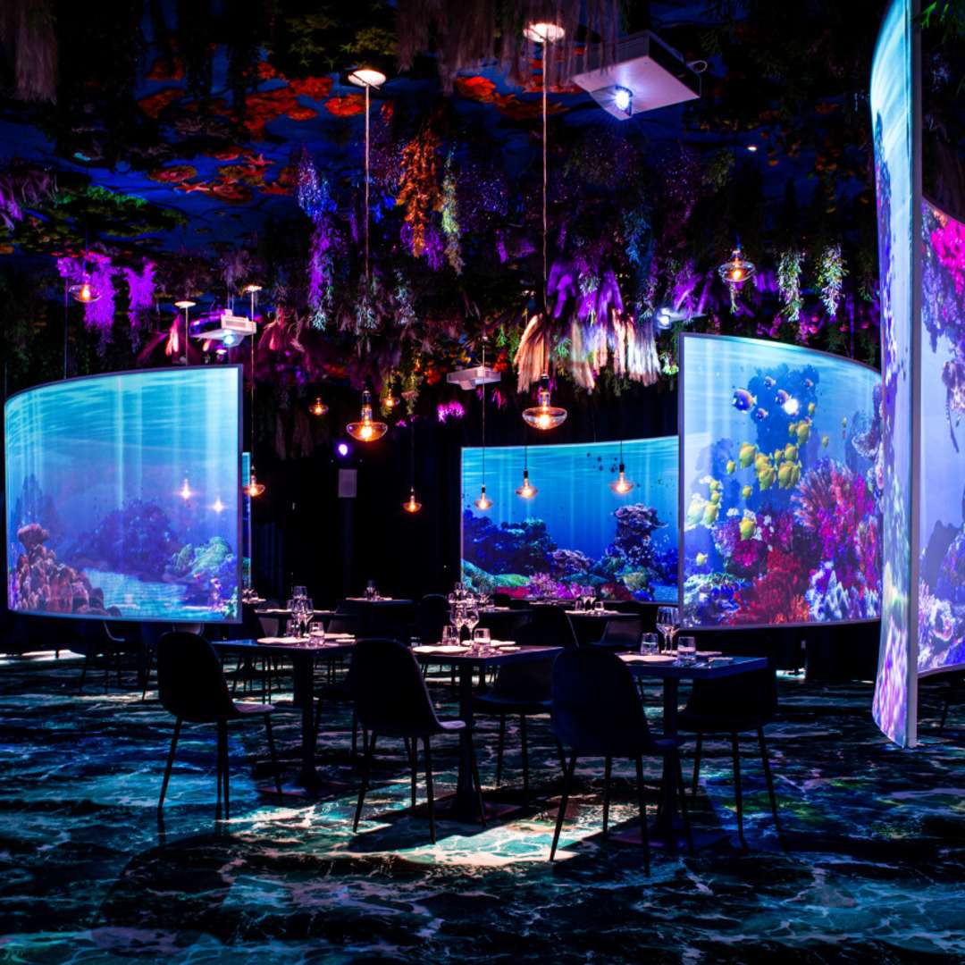 Under the Sea Ephemera VisitParisRegion