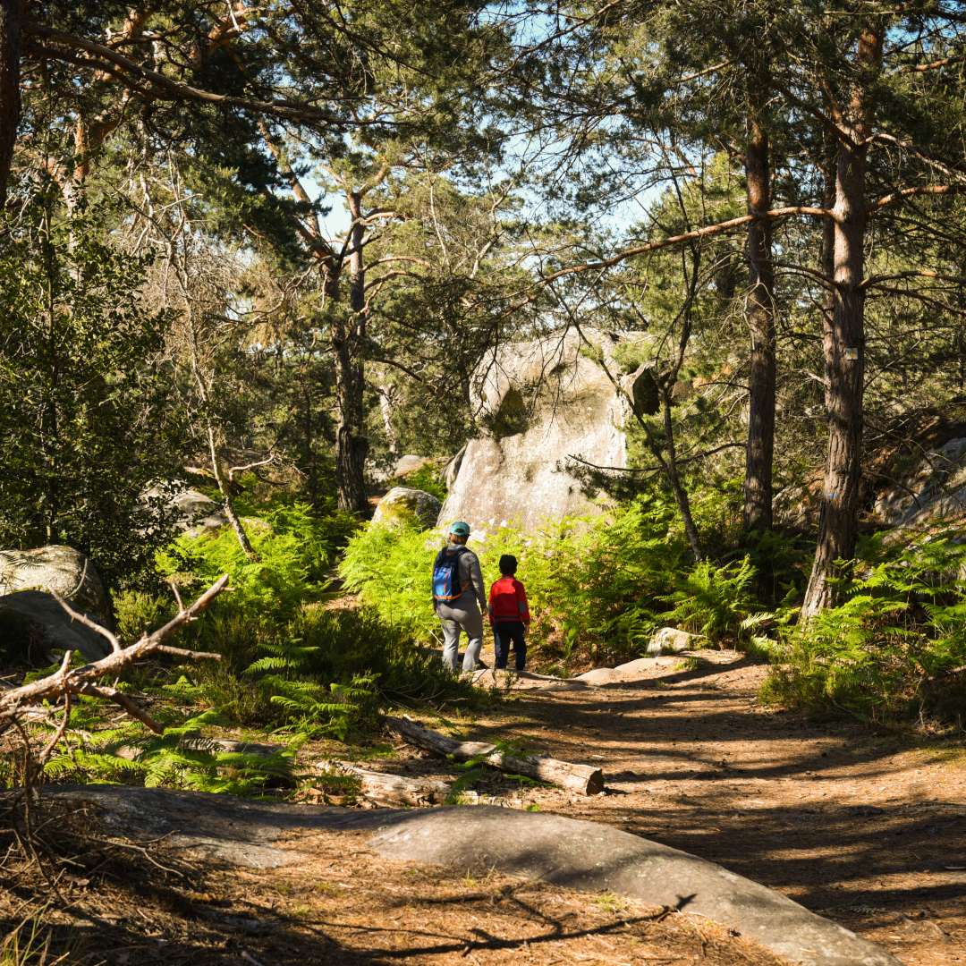 Fontainebleau forest | VisitParisRegion