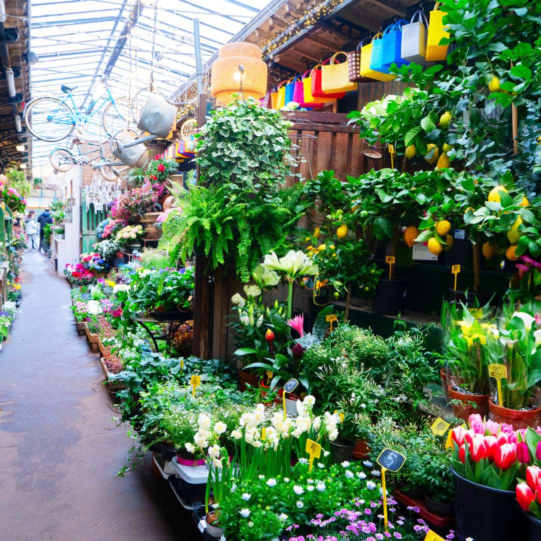 Marché aux fleurs Reine Elizabeth II VisitParisRegion