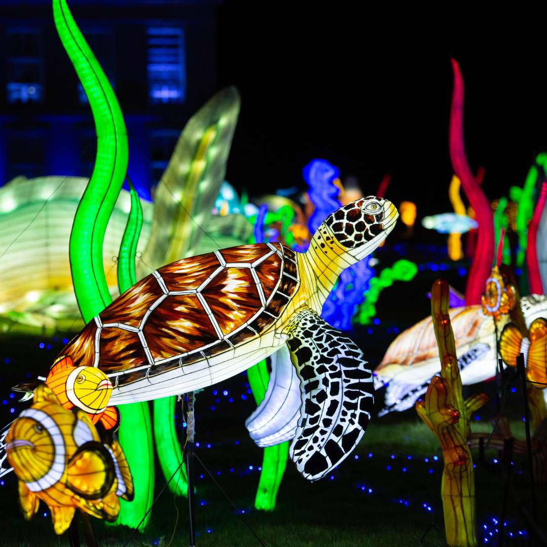 Lumières sauvages, le festival féérique de sculptures géantes du zoo de  Thoiry - GEO