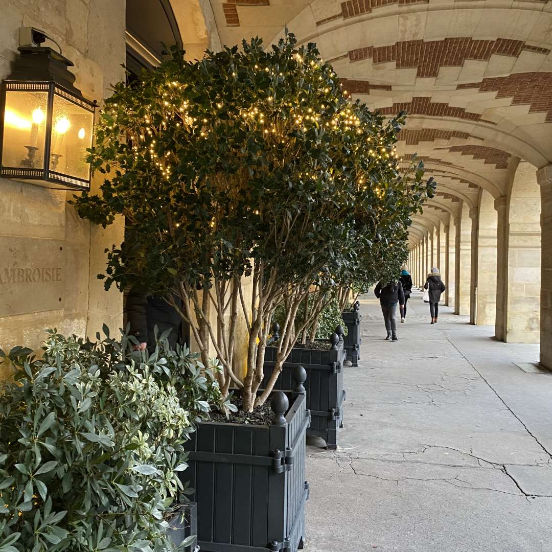 新しく着き L'Ambroisie | VisitParisRegion 洋書