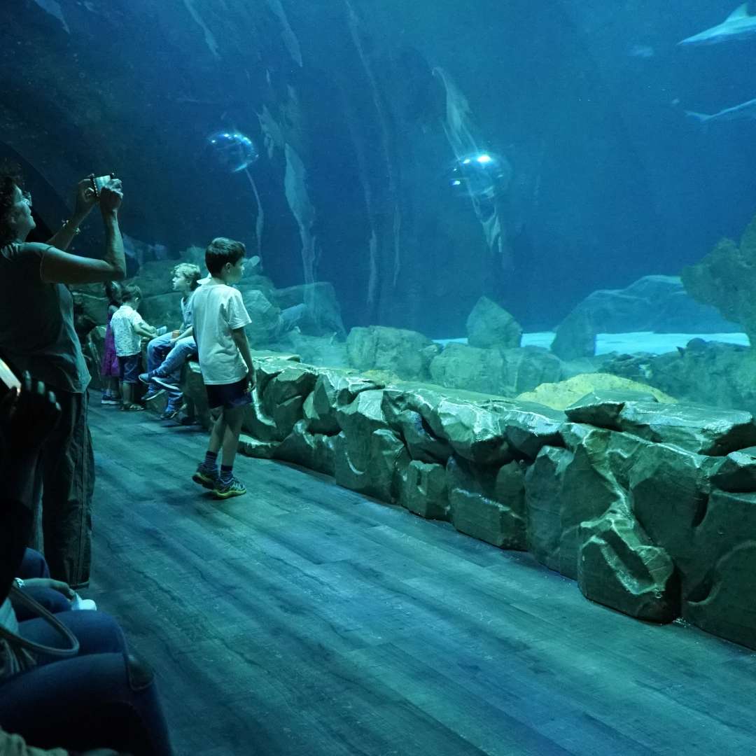 Billet jour Aquarium de Paris VisitParisRegion