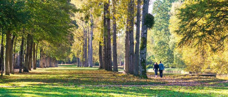 Forêt de Rambouillet
