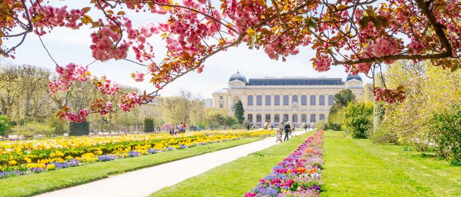 Jardin des Plantes