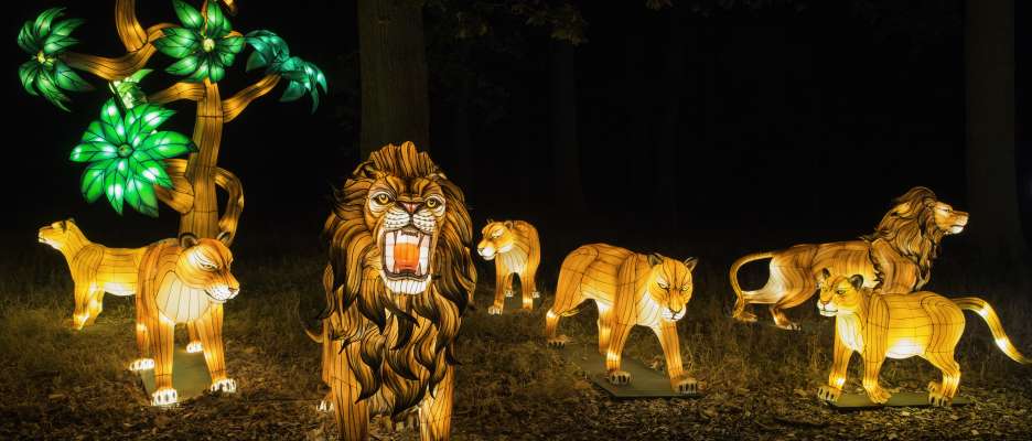 THOIRY LUMIERES SAUVAGES