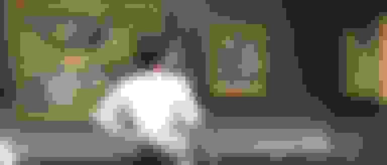 A rajouter