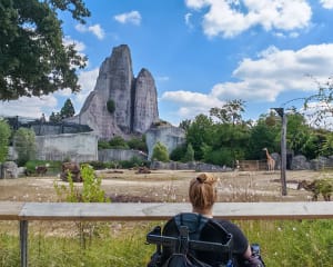 Personne en fauteuil roulant dans le parcs zoologique de Paris