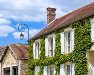 Façade couverte de lierre du musée des peintres de Barbizon