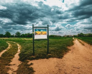 Balade sur les pas de Van Gogh à Auvers sur Oise