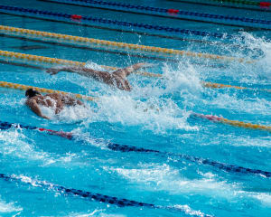 swimming, butterfly stroke, in a pool