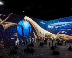 Exposition Dinosaures à l&#039;Atelier des Lumières