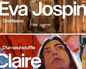 Double affiche exposition, Eva Jospin - Claire Tabouret