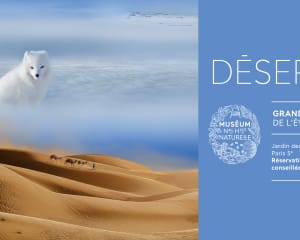 Affiche de l&#039;exposition Déserts à la Grande Galerie de l&#039;Evolution
