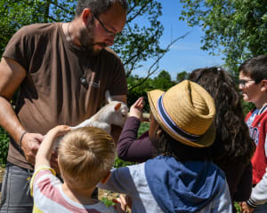 Des enfants caressent un animal à la Ferme de Gally
