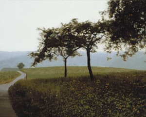 Gerhard Richter, Pommiers