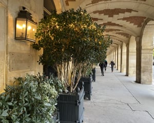 洋書 L'AMBOISIE PLACE DES VOSGES A PARIS L'AMBROISIE, Paris