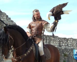 Les Aigles des remparts