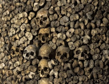 Catacombes de Paris
