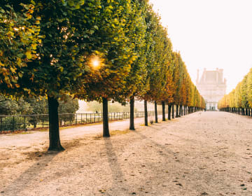 Jardin des Tuileries