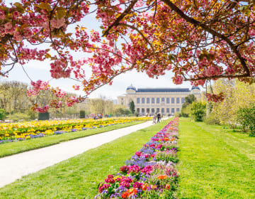 Jardin des Plantes au printemps, parterre de fleurs, Paris 2016.