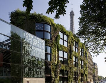 Le mur végétal du musée du quai Branly - Jacques Chirac
