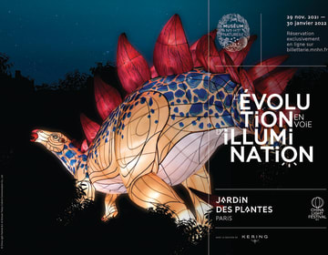 l-evolution-en-voie-d-illumination