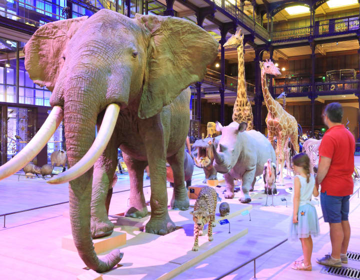 Grande Galerie de l'évolution Muséum d'histoire naturelle