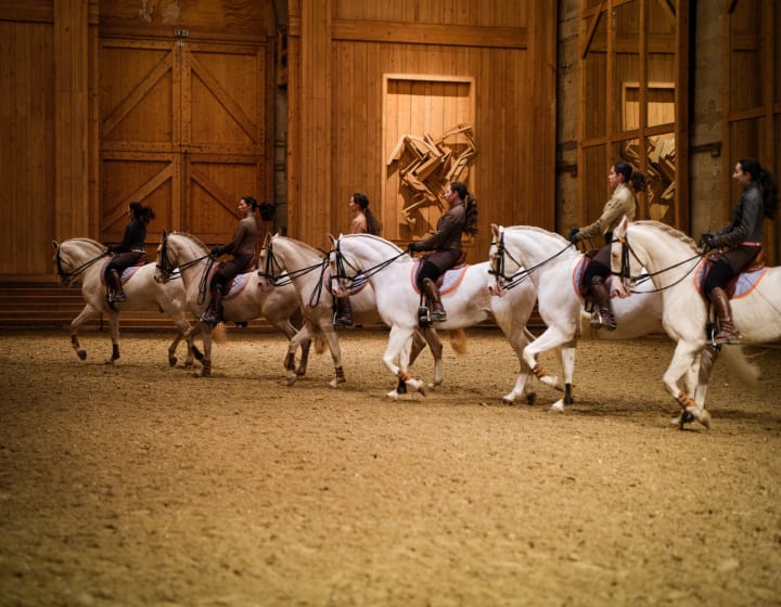 Equestrian show in Versailles featuring six white horses ridden by female riders