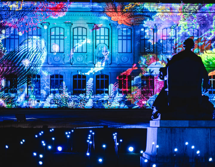 Illuminations des profondeurs de la mer sur façade du Museum National d&#039;Histoire Naturelle