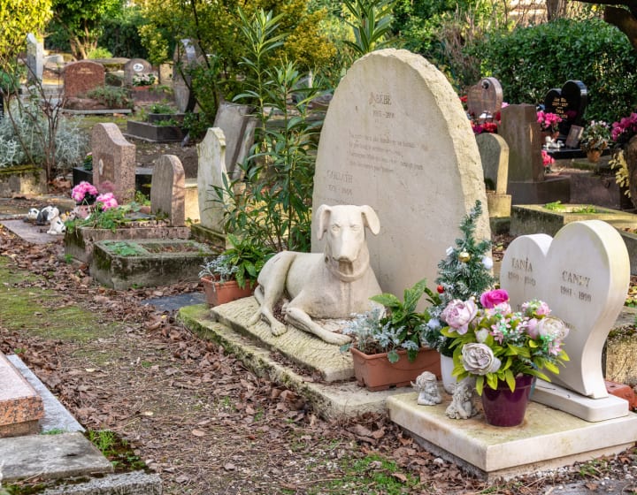 Dog burial in the Asnières dog cemetery
