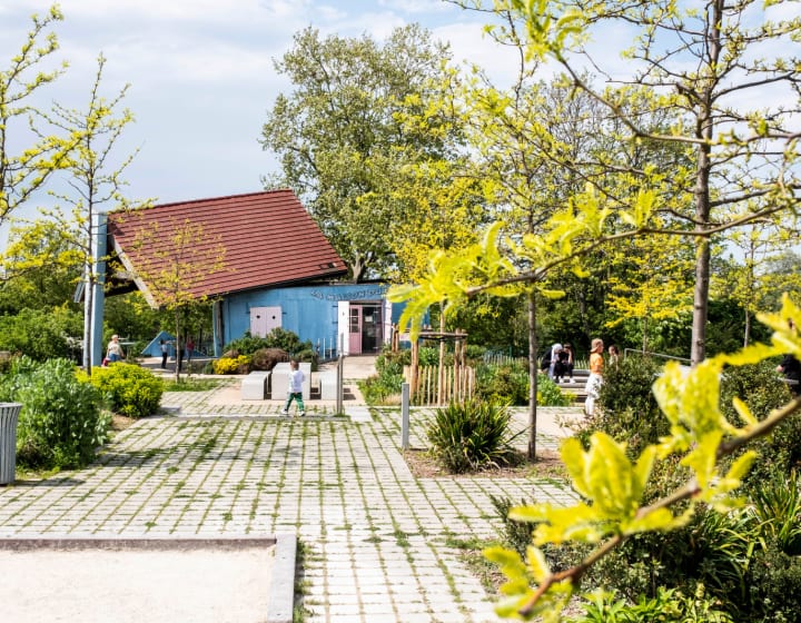 Maison du parc présentant un toi déstructuré dû à un arbre ayant poussé  à l'intérieur du bâtiment, parc Pierre Lagravère