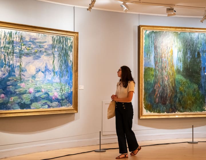 Femme regardant un tableau des Nymphéas au musée Marmottant Monet