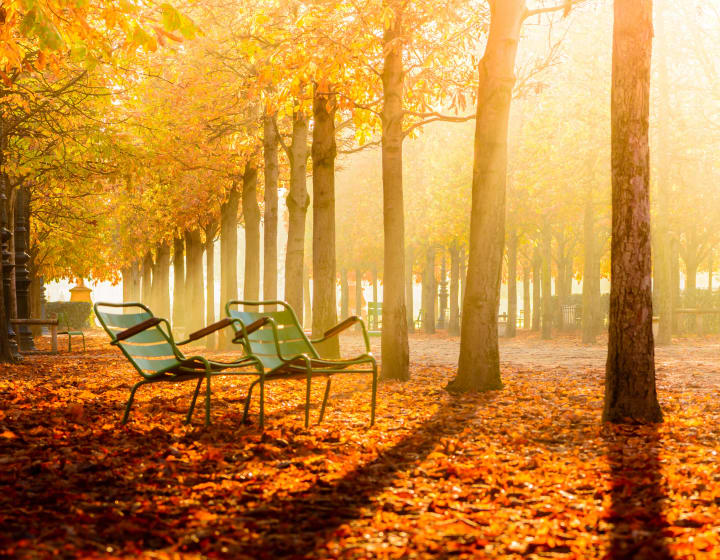 Deux chaises longues sur un parterre de feuilles mortes en automne au Jardin des Tuileries