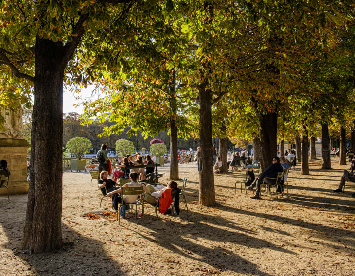 Jardin du Luxembourg en été / Un couple aux jardin des Tuileries