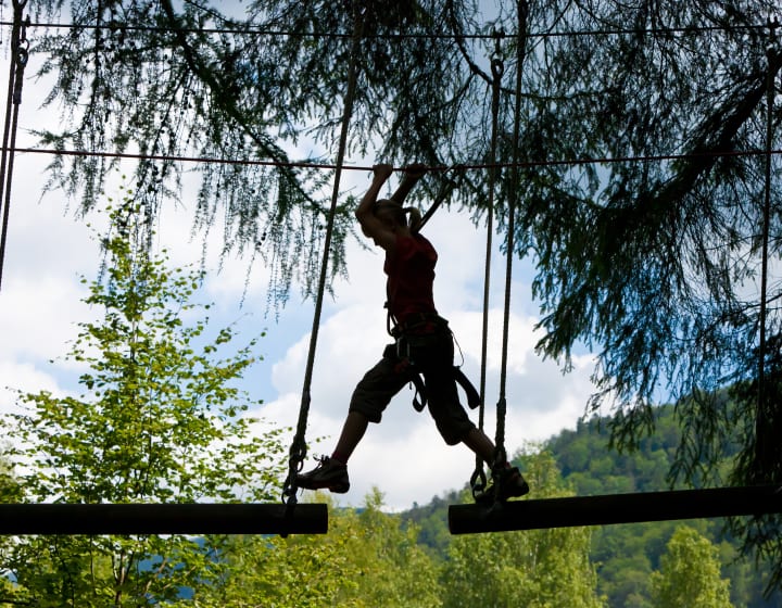 Tree climbing course
