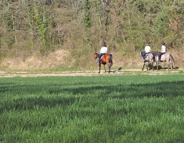 Horse riding