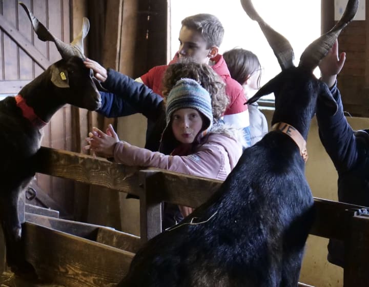 Bergerie nationale de Rambouillet _ Ferme pédagogique