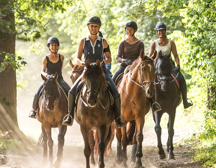 Horse Holidays, centre de randonnées équestres, Maisons-Laffitte.